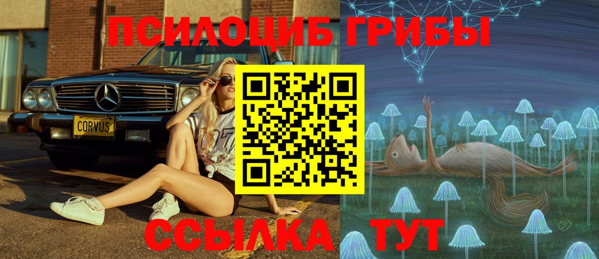 Псилоцибиновые грибы прущие грибы Губкинский