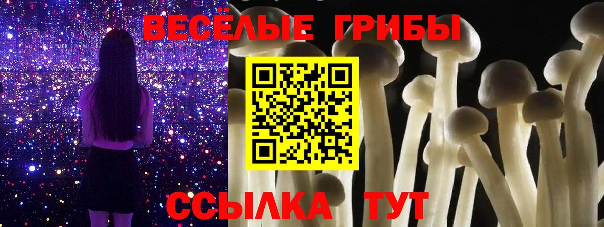Губкинский  где можно купить наркотик  Псилоцибиновые грибы Psilocybe  Вход с VPN  Псилоцибиновые грибы мицелий 
